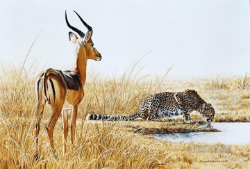 Deer Painting - cheetah and impala ram
